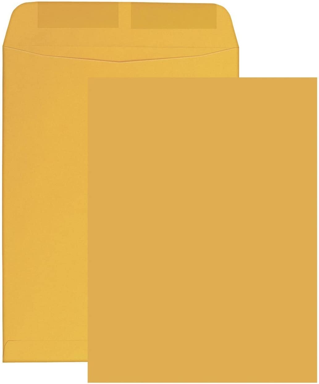 6 X 9 Catalog Envelopes 500pcs/case
