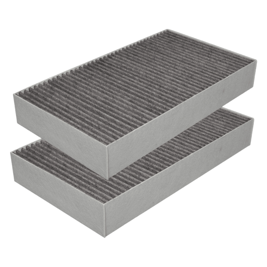 Filtrete F1 Carbon Room Air Purifier Compatible HEPA Filter 2-Pack - Prinko